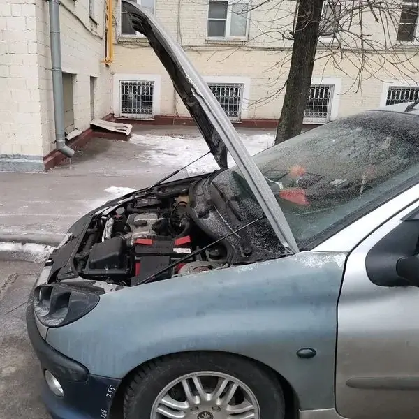 

Амортизаторы капота (газовые пружины) для Peugeot 206, 206CC, GTi 180 RC 1998-2016, передние, для подъема капота двигателя