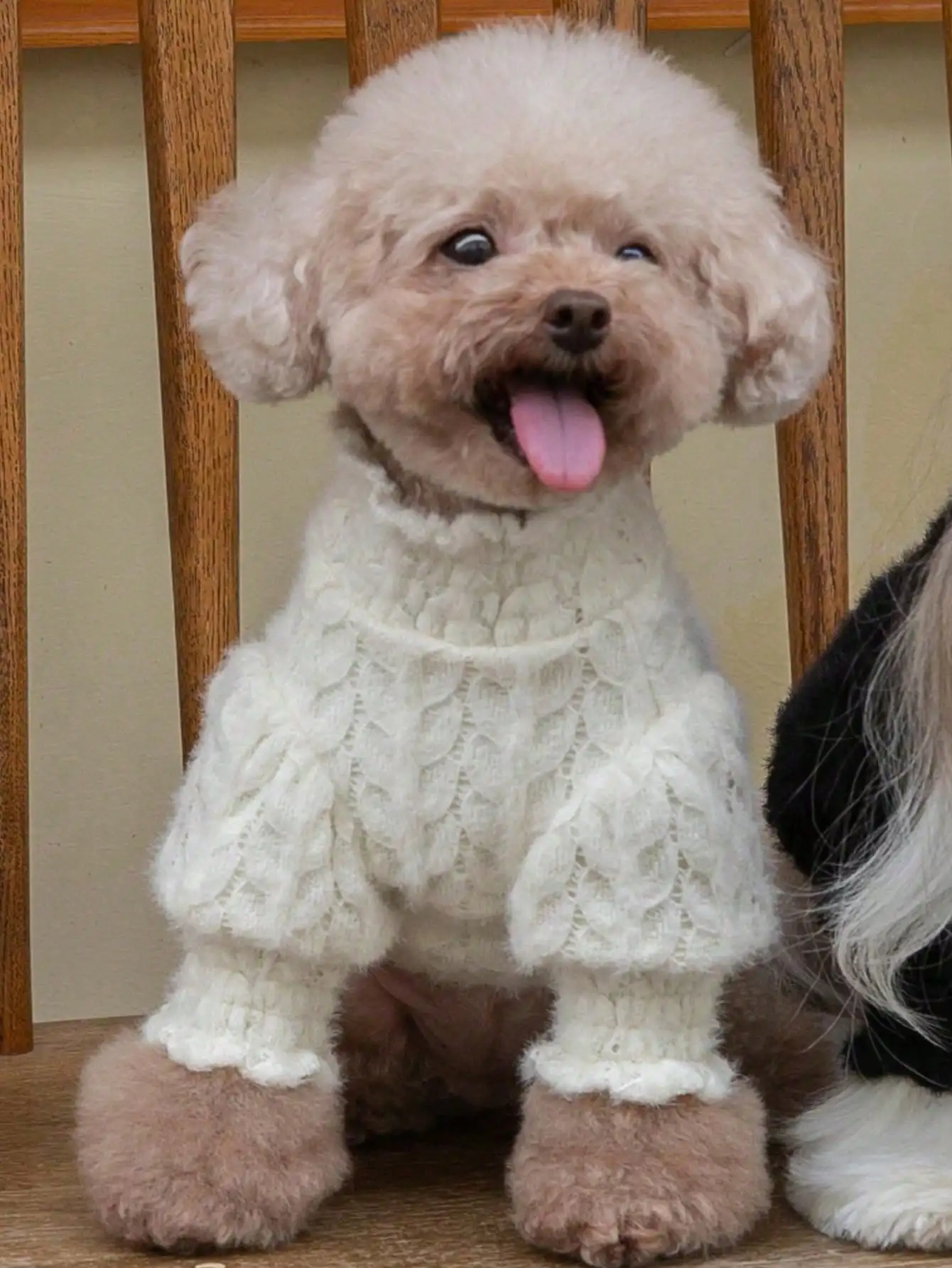 Hundepullover für Kleine Mittlere Große Hunde, Mädchenhund-Strickpullover mit Spitze und Perlen, Warmer Eleganter Weiblicher Hundepullover