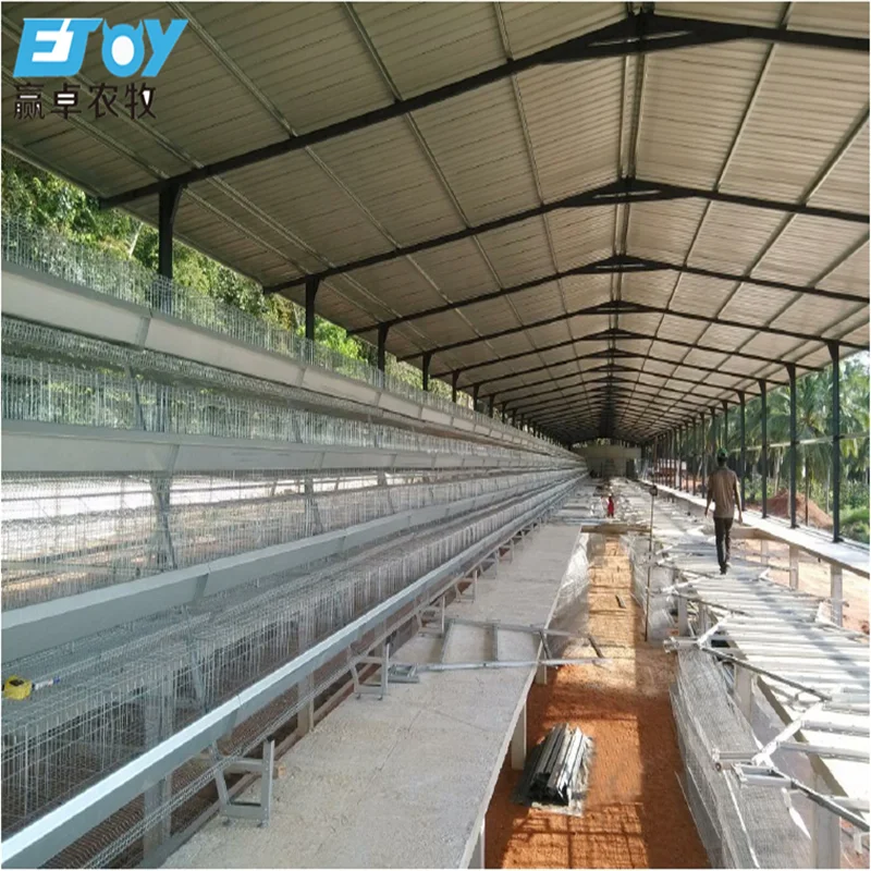 Equipamento de frango de corte automático, estilo industrial profissional, casa de contêiner de frango