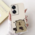 case-c16