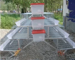 Original From China Nairobi Stock Available Uganda Layer Farm Chicken Cage for Sale