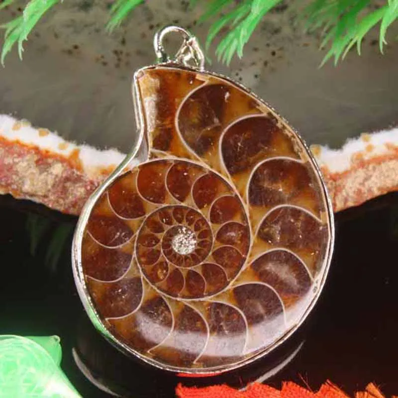 Charm Natural Ammonite Conch Shell Bead Pendant  1PCS