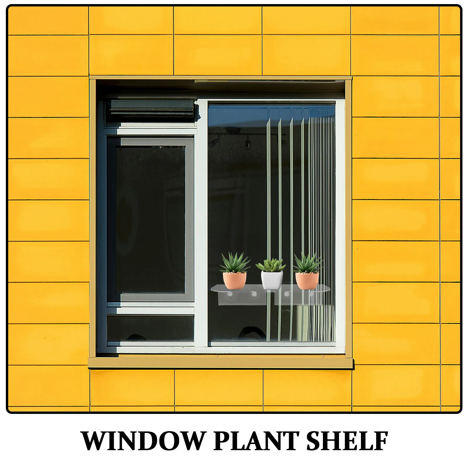 Suction Cup Window Plant Shelf 12 Inch Clear Acrylic Floating Shelf for Indoor Windowsill Garden Flowers Vegetables Sunlight