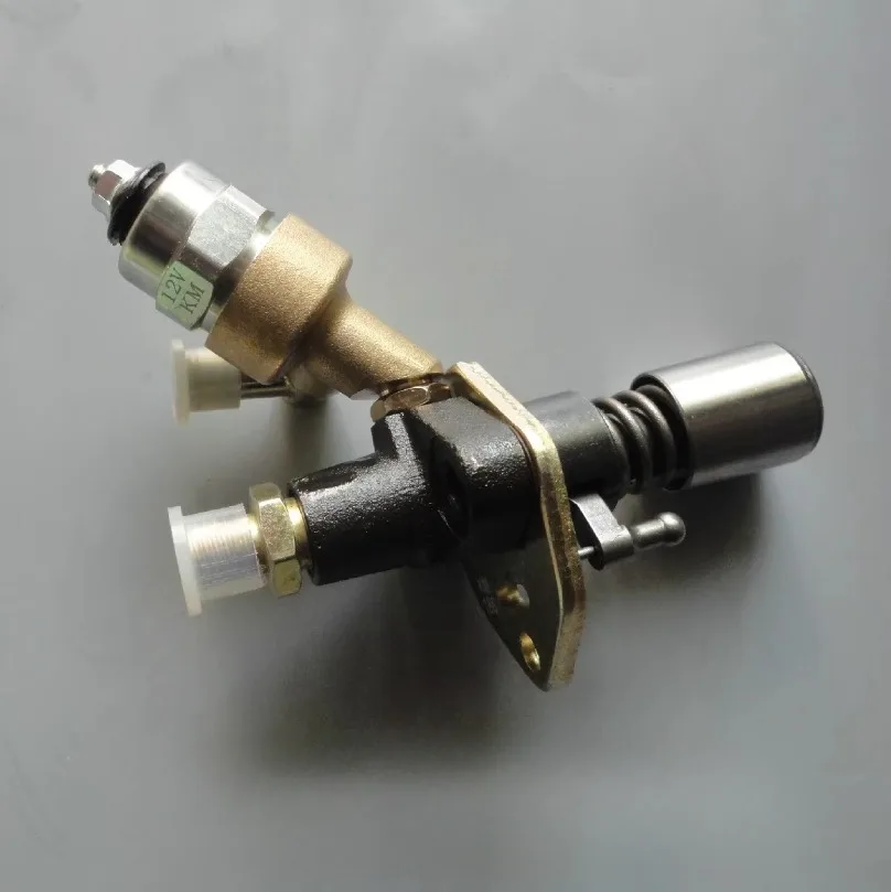 Diesel Engine Fuel Injector Injection Pump Assembly 8KW 5KW 178F 186FA 188 192 Air Cooled Tiller Generator
