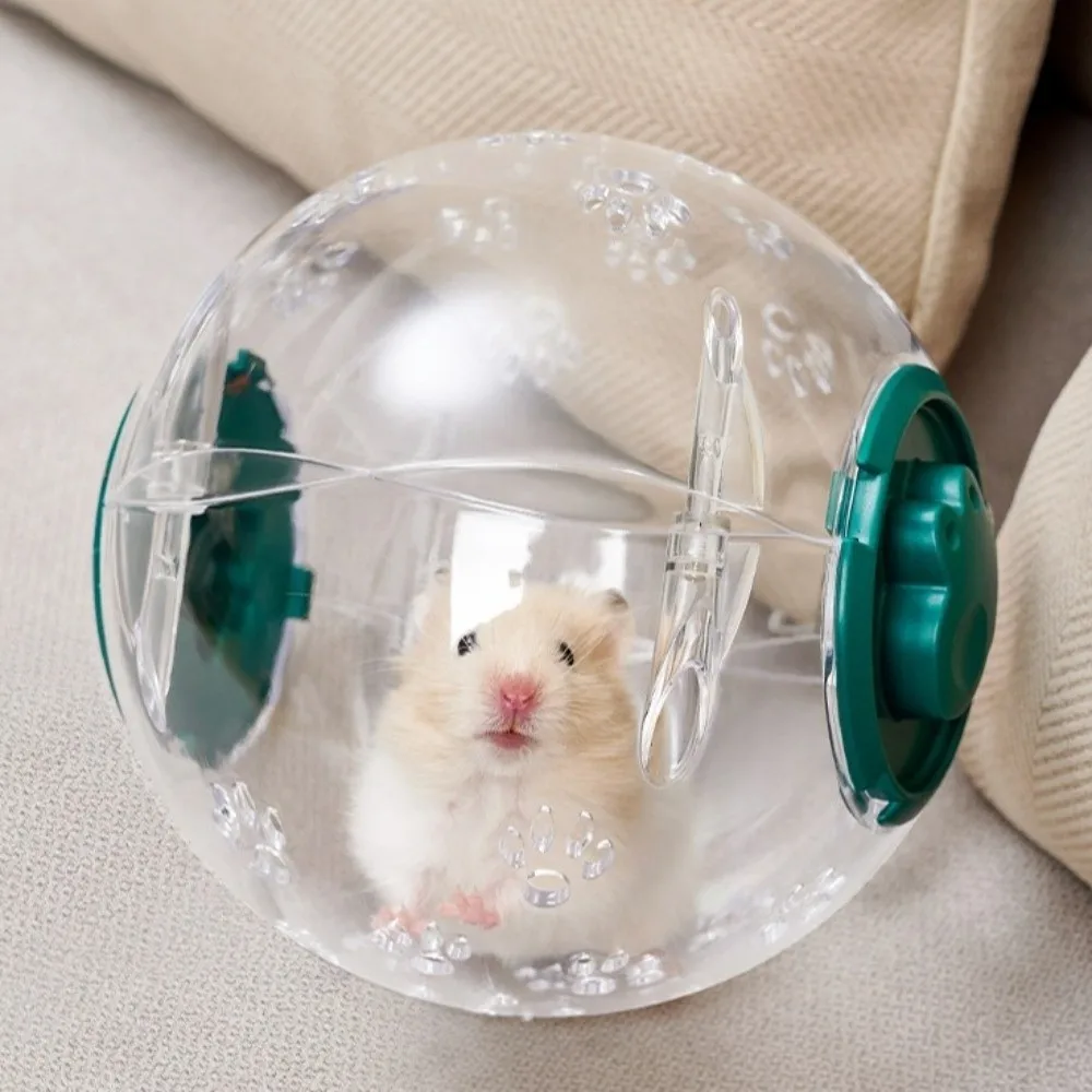 Thumbnail 2 - #34 Latest Hamster Exercise Wheels Offers