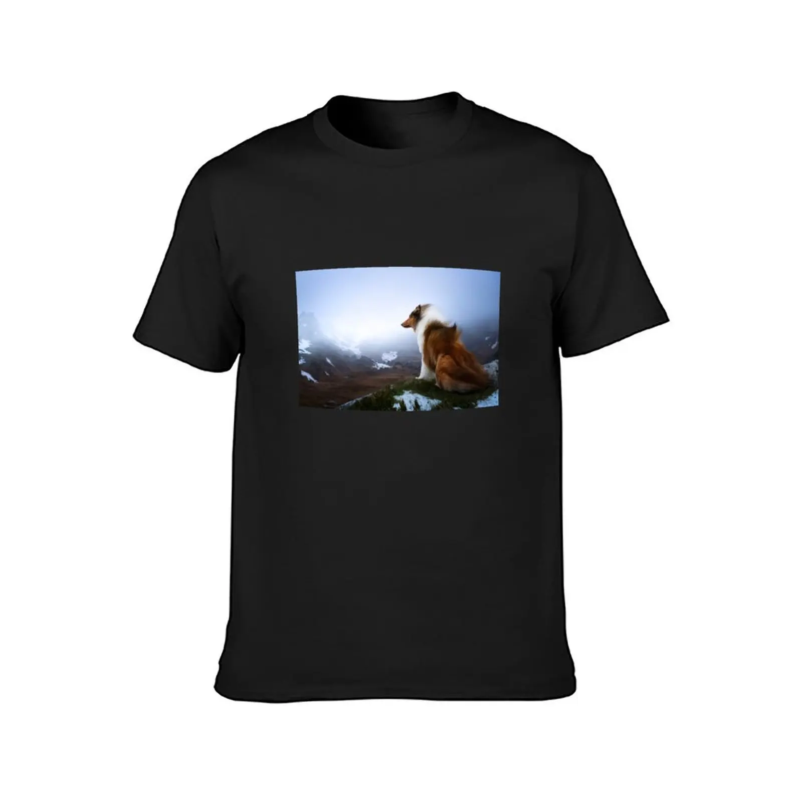 Mountain landscape rough collie dog art photography T-Shirt for a boy sweat summer tops mens t shirt graphic