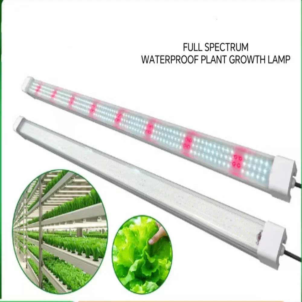 Luz LED para interplanta, 100W, estante de luz para crecimiento de plantas, lámpara para cultivo de tejidos, tubo, raíz de plántulas vegetales