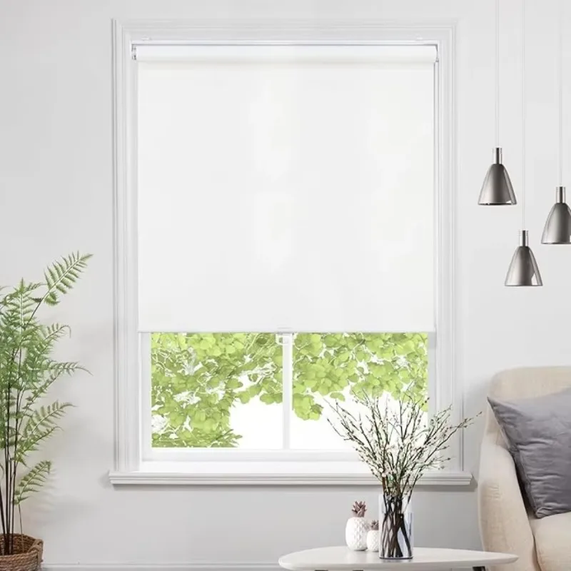 Cordless Manual Roller Blinds, 100% Blackout Privacy Protection Window Shades for Home