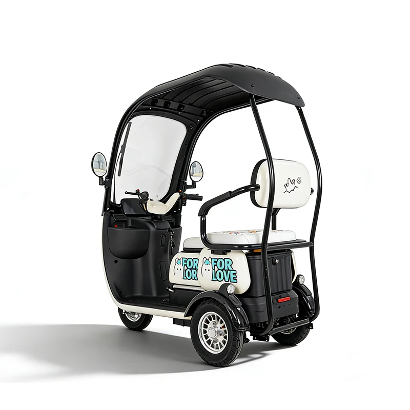 Adult Electric Tricycle with Roof 3 Wheel E-Bike Factory Direct Sale High Quality