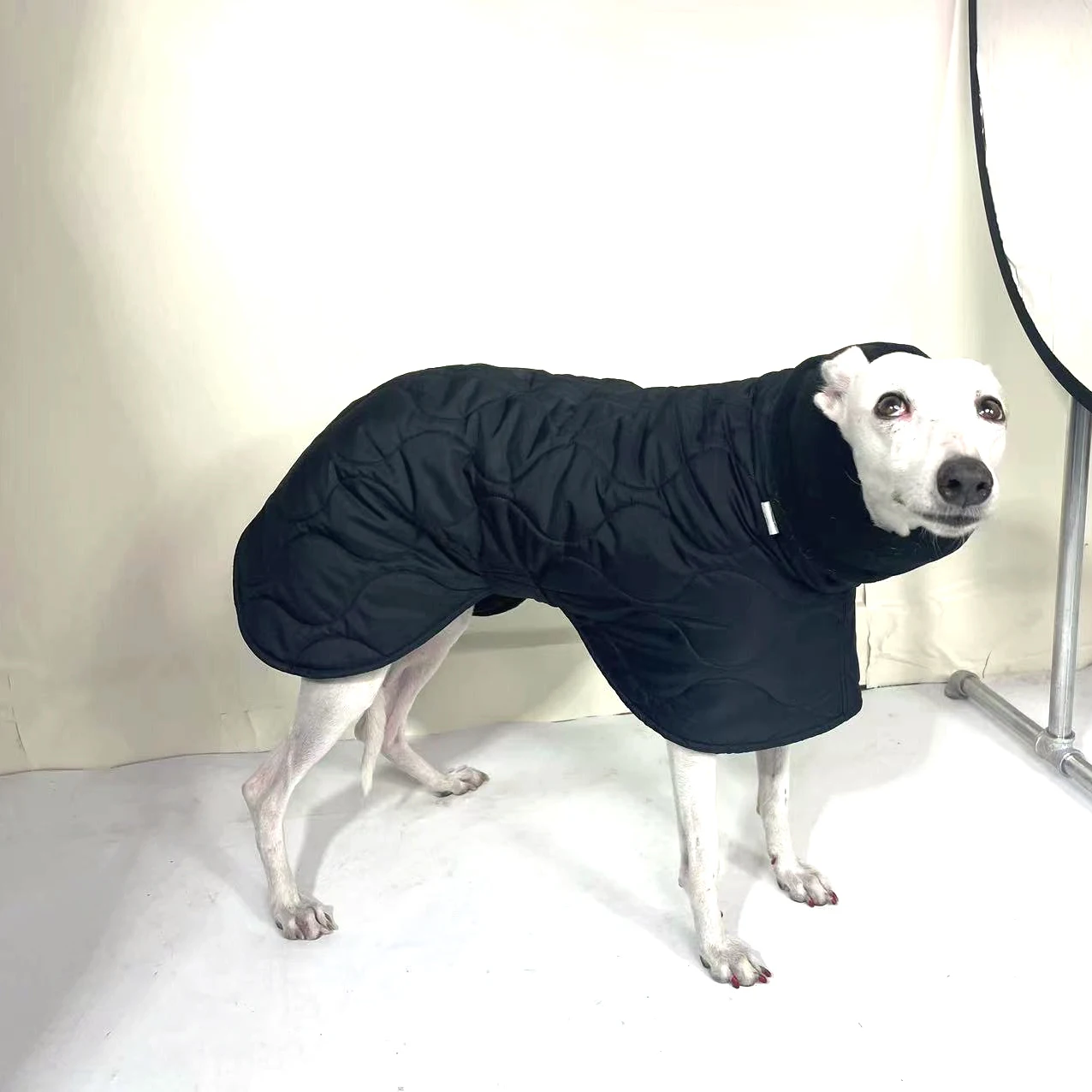 Winter Dog Outer Black Quilted Turtle Collar Dog Coat Warm Italian Greyhound Adjustable Cotton Whippet