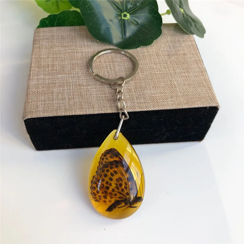 Real Insect Specimens Amber Pendant Keychain Wholesale Accessories Custom Car Keychains