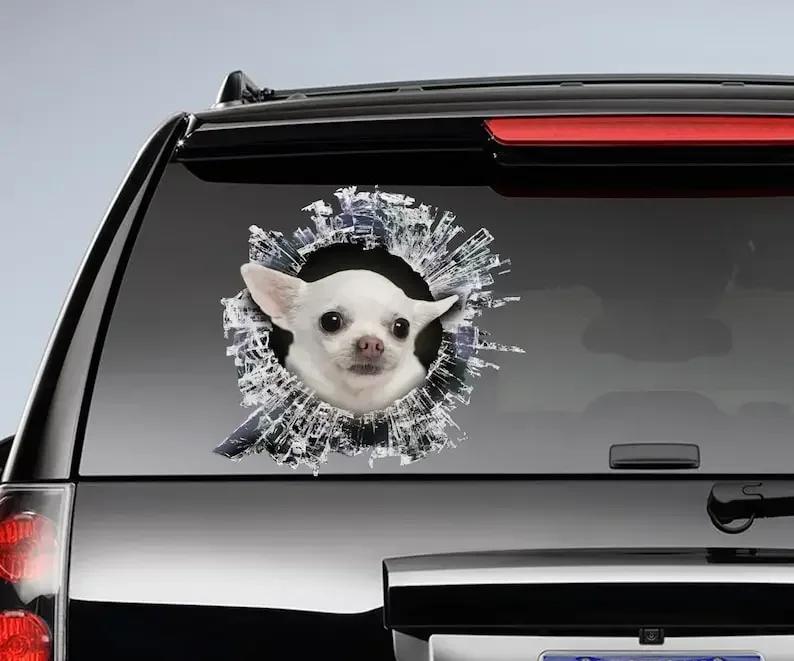 

White Chihuahua window decal, chihuahua window sticker, funny dog decal