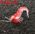 color4