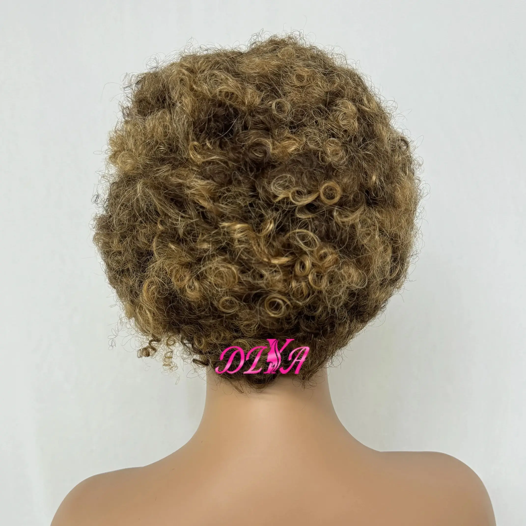 250% Density 4/30 Highlight Afro Kinky Curly Bouncy Human Hair Wig with Braids 13x4 Transparent Lace Frontal Wig for Black Women