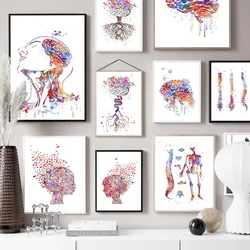 Human Anatomy System Wall Art Canvas Painting Posters And Prints Brain Mind Spine Wall Pictures Medical Education Home Decor