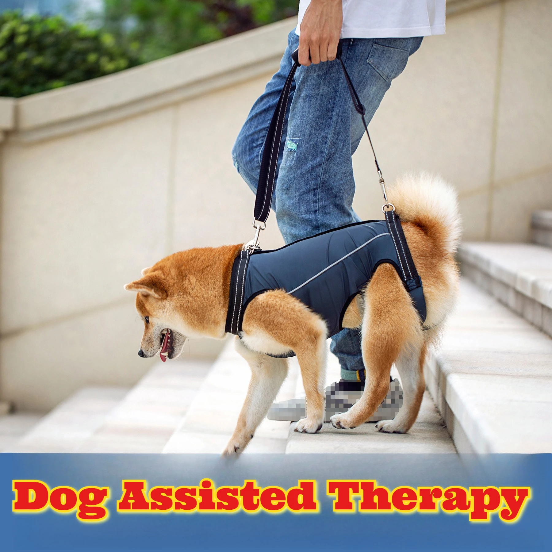 

Dog Support Harness Injured Legs Elderly Dogs Adjustable Breathable Rehabilitation Aid Pet Mobility Sling Front Hind Leg Brace