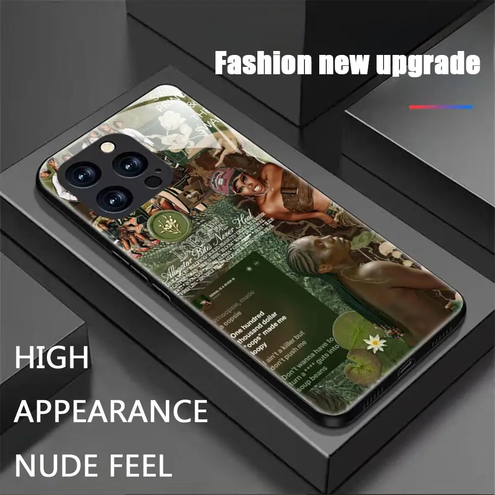 حافظة لهاتف آيفون 16 15 14 13 12 11 X XR XS 8 Plus Mini Pro Max حافظة هاتف مغناطيسية زجاجية من D-Doechii Star