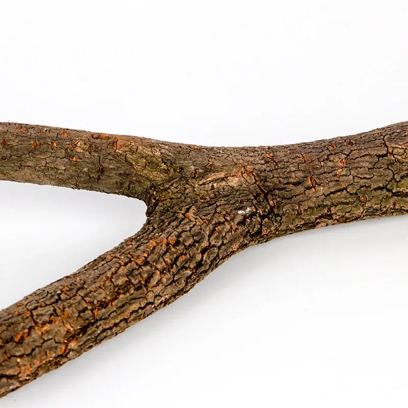 الخشب الطبيعي الحيوانات الأليفة الببغاء الخام الخشب شوكة شجرة فرع حامل رف السنجاب الطيور الهامستر فرع Perches مضغ لدغة اللعب عصا #5