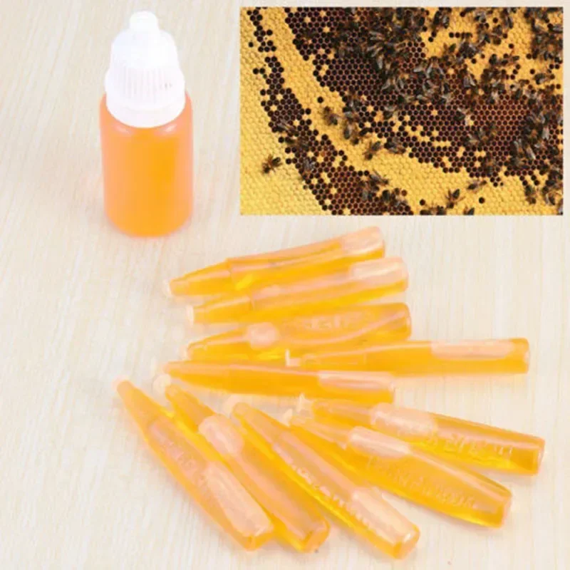 11pcs Hive Swarm Attractant Lure keeping Equipment Tubes Tool Attractant Kit keeper Farm Material Pheromone