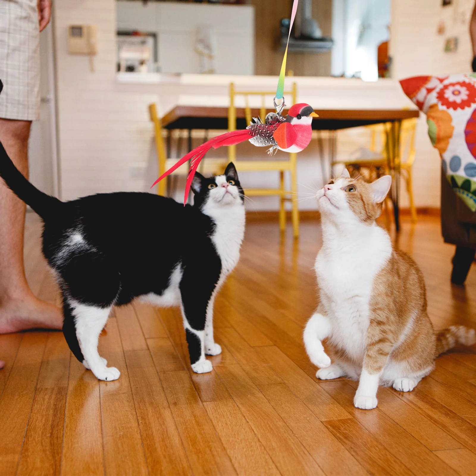 

Indoor Cat Teaser Feathered Bird Bell Attachment Interactive Chase Replacement Head Durable Materials Easy Control