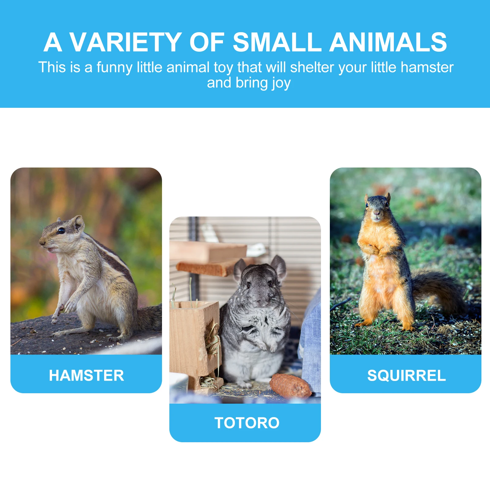 

2 Sets Pet Harness Small Animal Leash Rat Accessories Hamster Adjustable Accessory for Animals Rope