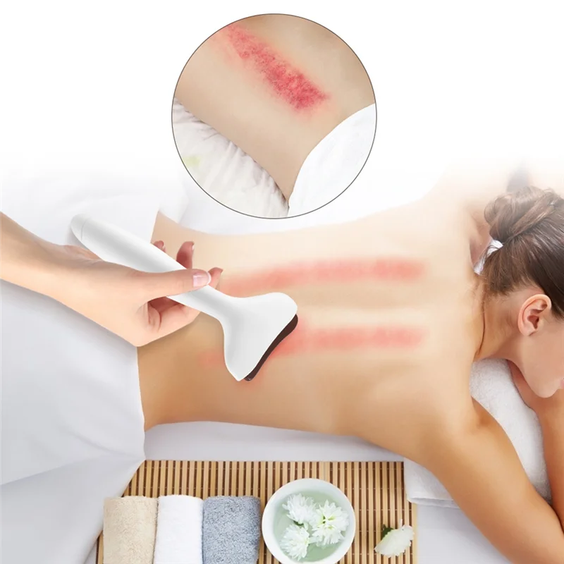A23F-Electric Gua Sha Facial Massager 9-Level Heat Shock And Bian Stone Tool For Puffiness Relief (Face/Neck/Eyes)