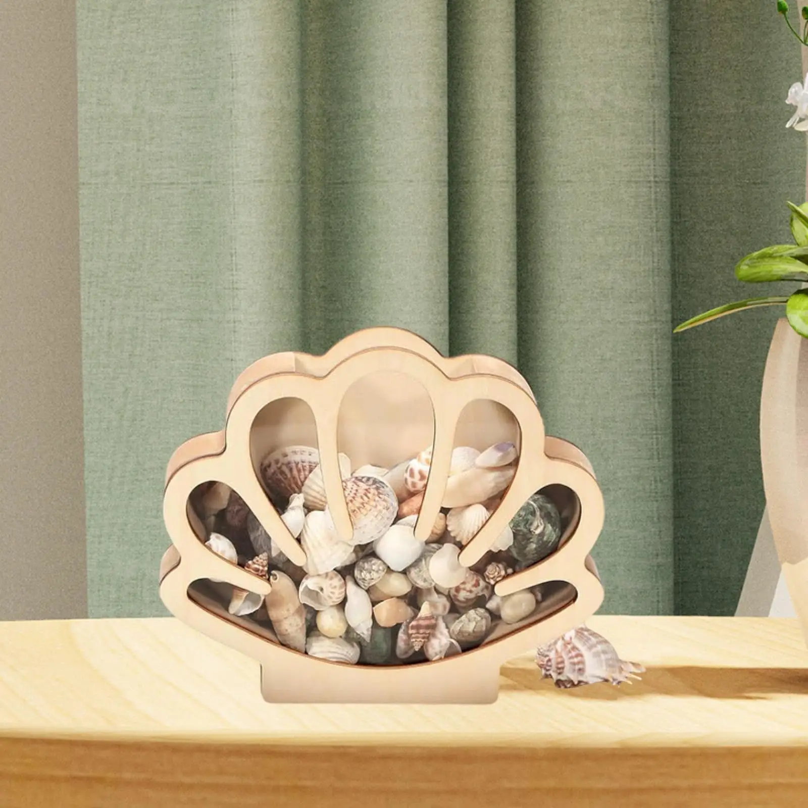

Shell Storage Container Decorative Organizer Jewelry Beads Trinket Clear Birthday Gift Creative Desktop Wooden Shell Display Box