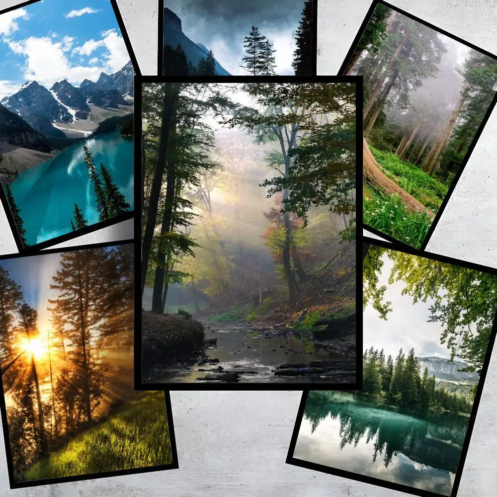 piece of dark green forest fog mountain scenery nature Poster Self-adhesive Art Waterproof Paper Sticker Coffee House Wall Decor