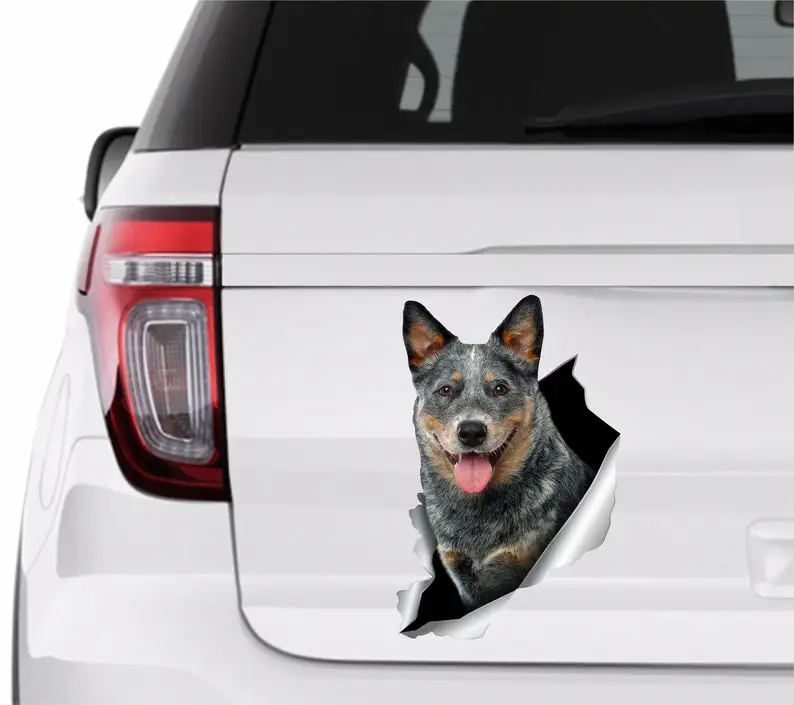 Blue Heeler sticker Auto sticker Australian dog Window sticker Cattle dog sticker Funny car decal Car decoration Car sticker Ani