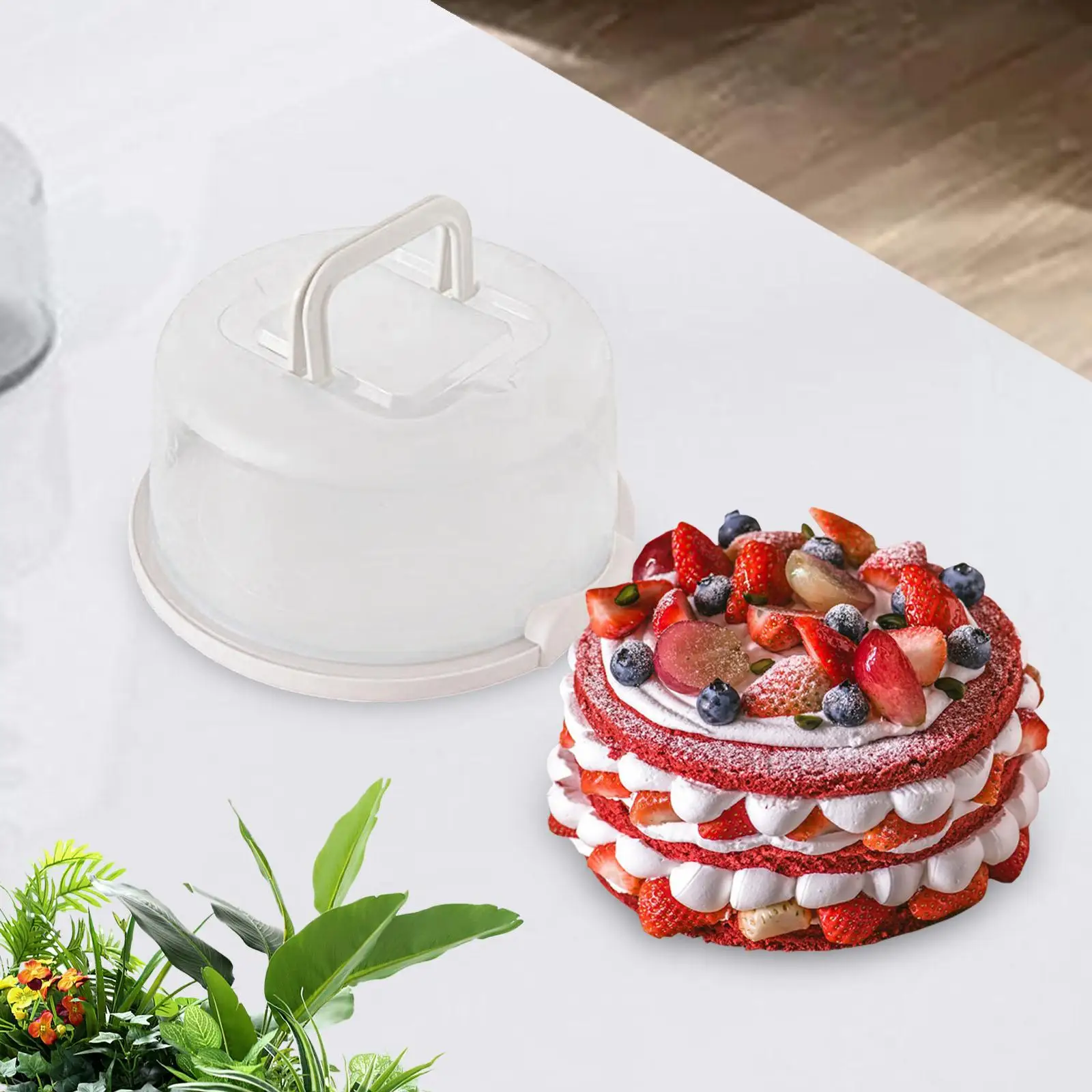 Cake Container Cake Carrier Food Grade Round Pan Dome Freezer for Transport