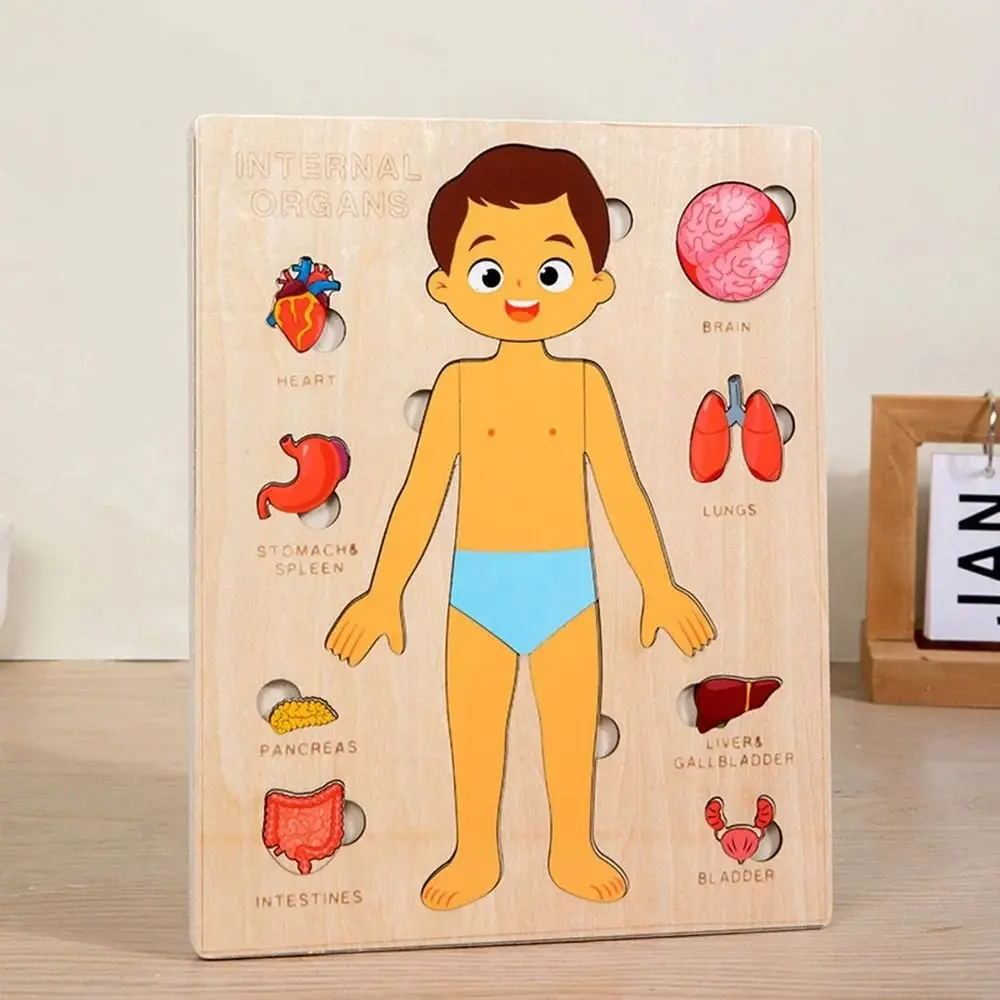 NEW Learning Board Montessori Puzzles Educational Interactive Human Body Teaching Wood Early Education Games Preschool