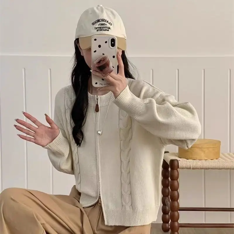 

Korean Style Simple Zipper Fried Dough Twists Sweater Coat Women's Autumn and Winter New Design Sense Versatile Knitwear Women