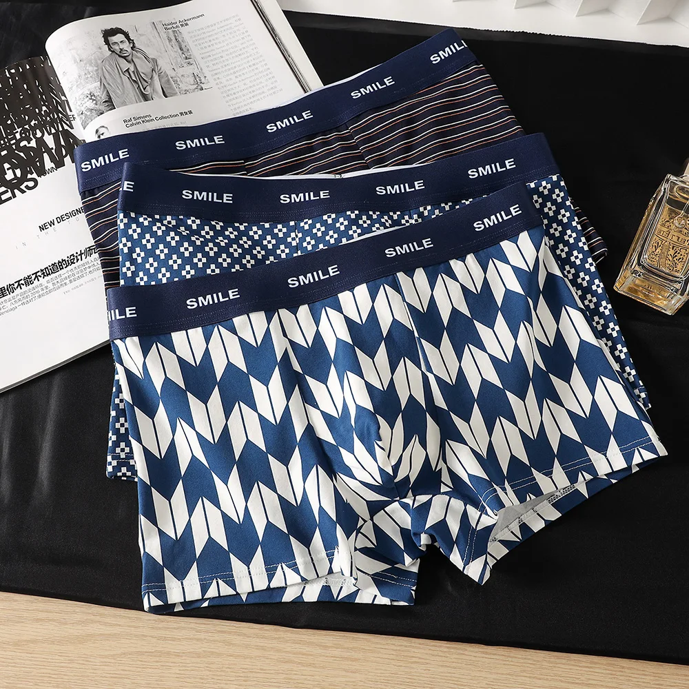 1/3PCS 95% Cotton Soft Comfortable Men's Boxer Briefs Retro Plaid Men's Panties Space Capsule 3D Mesh Pouch Breathable Underwear