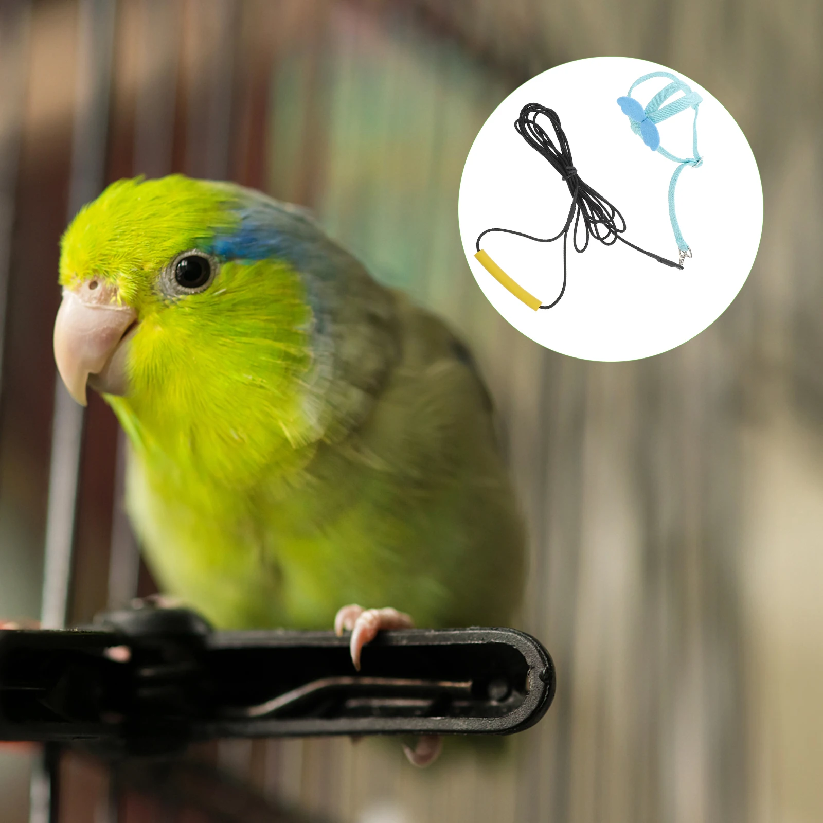 

1Pc Durable Bird Harness Leash Adjustable Length EasyOn Training Rope For Birds Nature Enjoyment