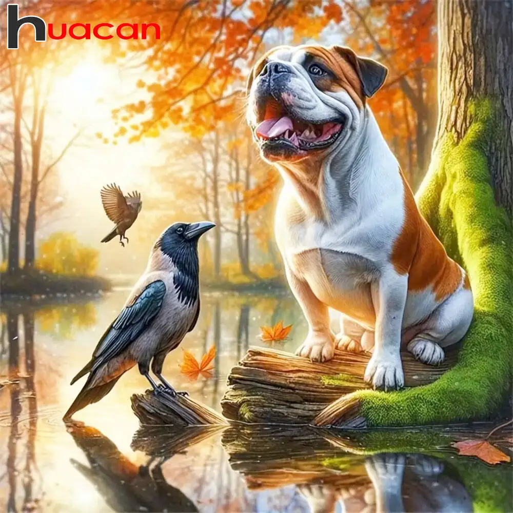 

Huacan 2021, новая коллекция, алмазные картины, дельфин, небо, алмазная вышивка, морской закат, мозаика, художественные украшения, картины