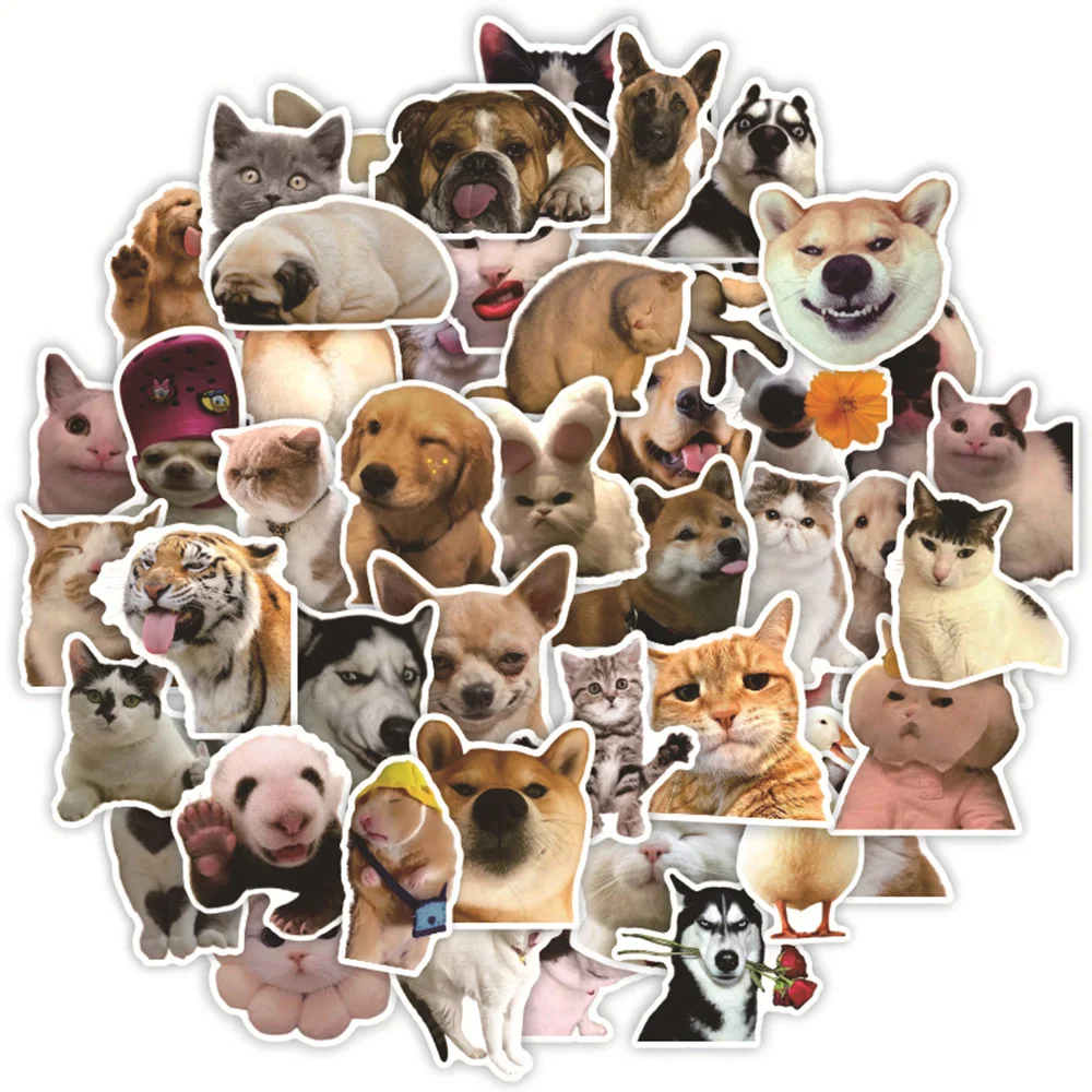 

10/30/50pcs Funny Cute Animal Cat Dog Meme Stickers Decal Skateboard Laptop Phone Car Motorcycle Waterproof Joke Sticker Kid Toy