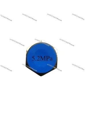 

Cryogenic Dewar Oxygen Nitrogen Argon Special Bursting Disc