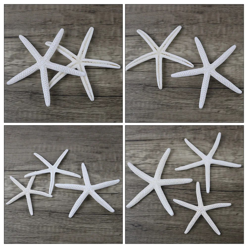 

20Pcs Sea Star Ornaments Natural Decorative Sea Stars for Holiday Mermaid Party Hawaii Style Home Decor Fish Tank Decorating