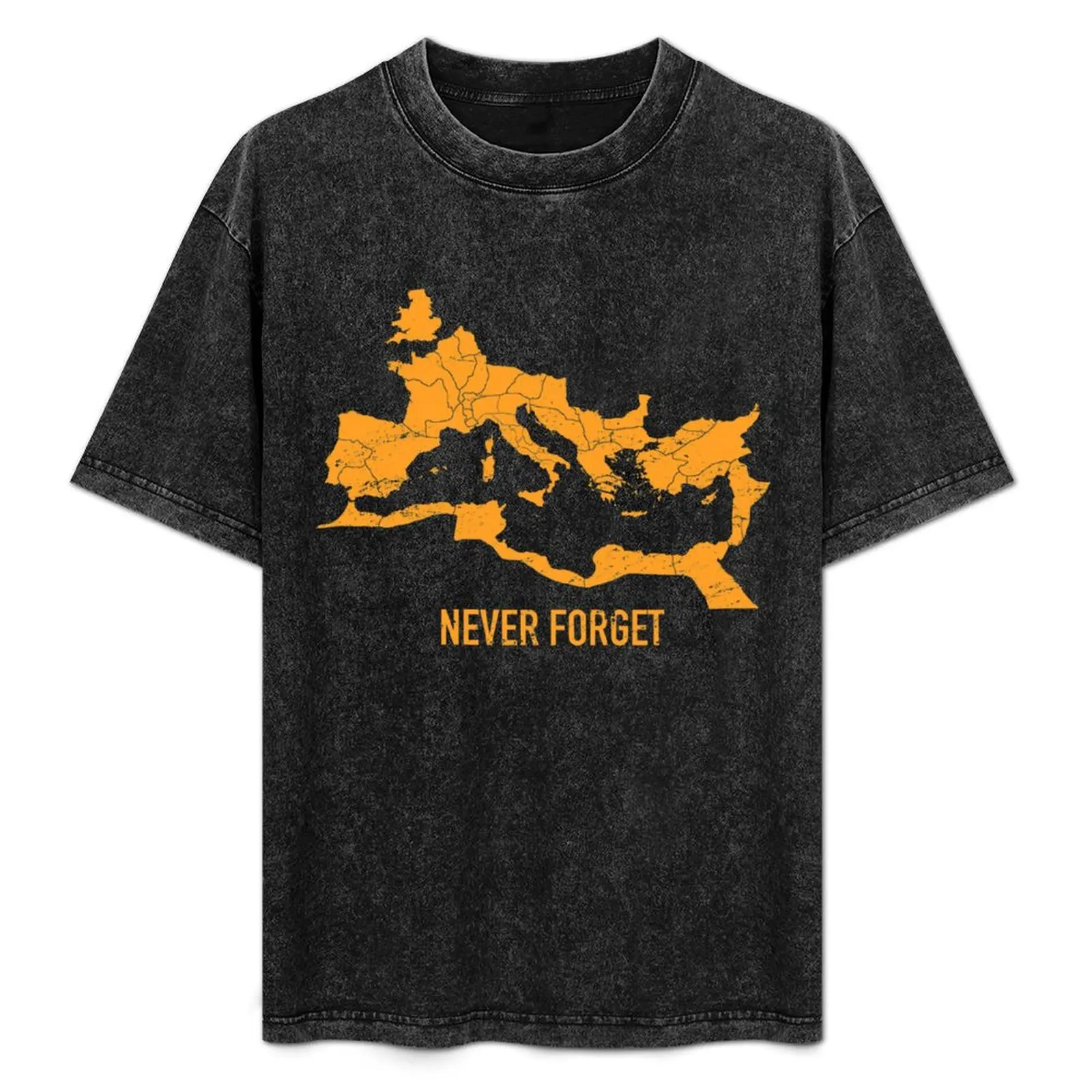 

The Roman Empire Map T-Shirt summer top sweat Aesthetic clothing for a boy men clothings