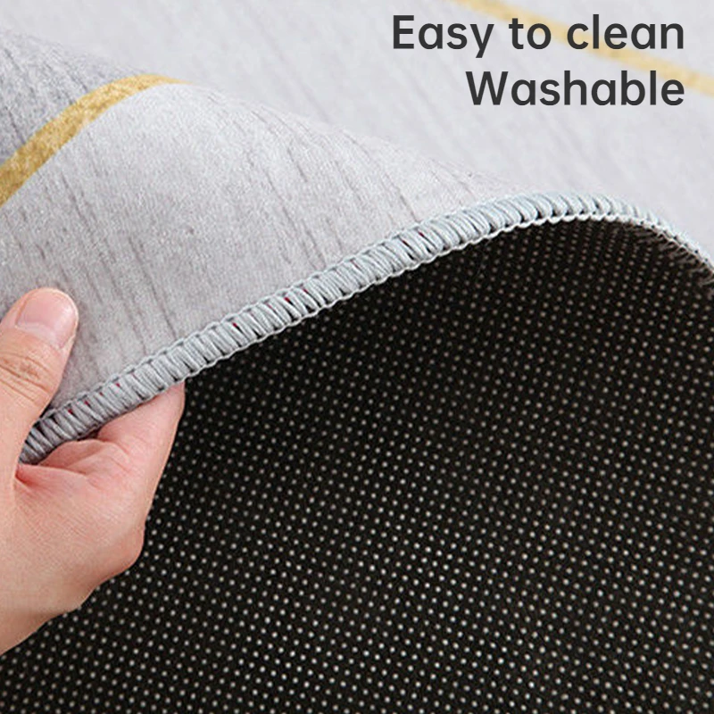Light Luxury Home Carpets Living Room Decoration Grey Carpet Hall Simple Style Floor Mat Bedroom Bedside Large Rugs Washable