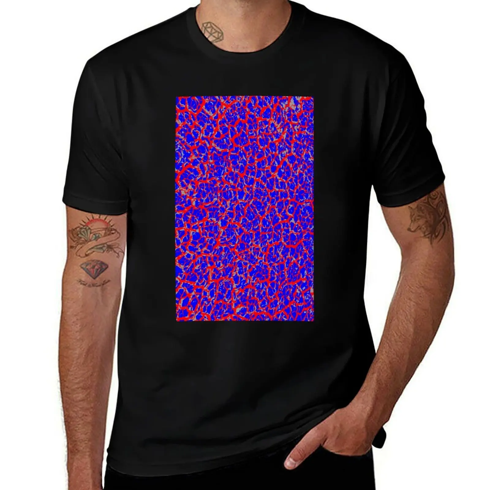 Dried Earth 3 T-Shirt Simple Graphic Design T-Shirt
