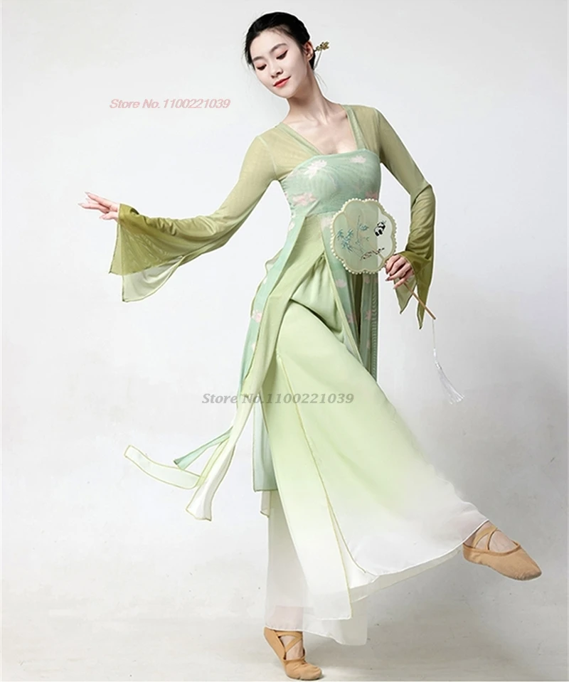 2025 중국 빈티지 민속 무용 의상 꽃 프린트 메쉬 hanfu 탑 + 바지 세트 빈티지 쉬폰 드레스 무대 공연 댄스 세트