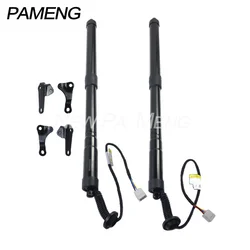 Electric Tailgate Struts Rear For 2015-2020 Lexus NX200t NX300h 2.0L 2.5L L4 68920-79016 68910-79016 6892079016 6891079016