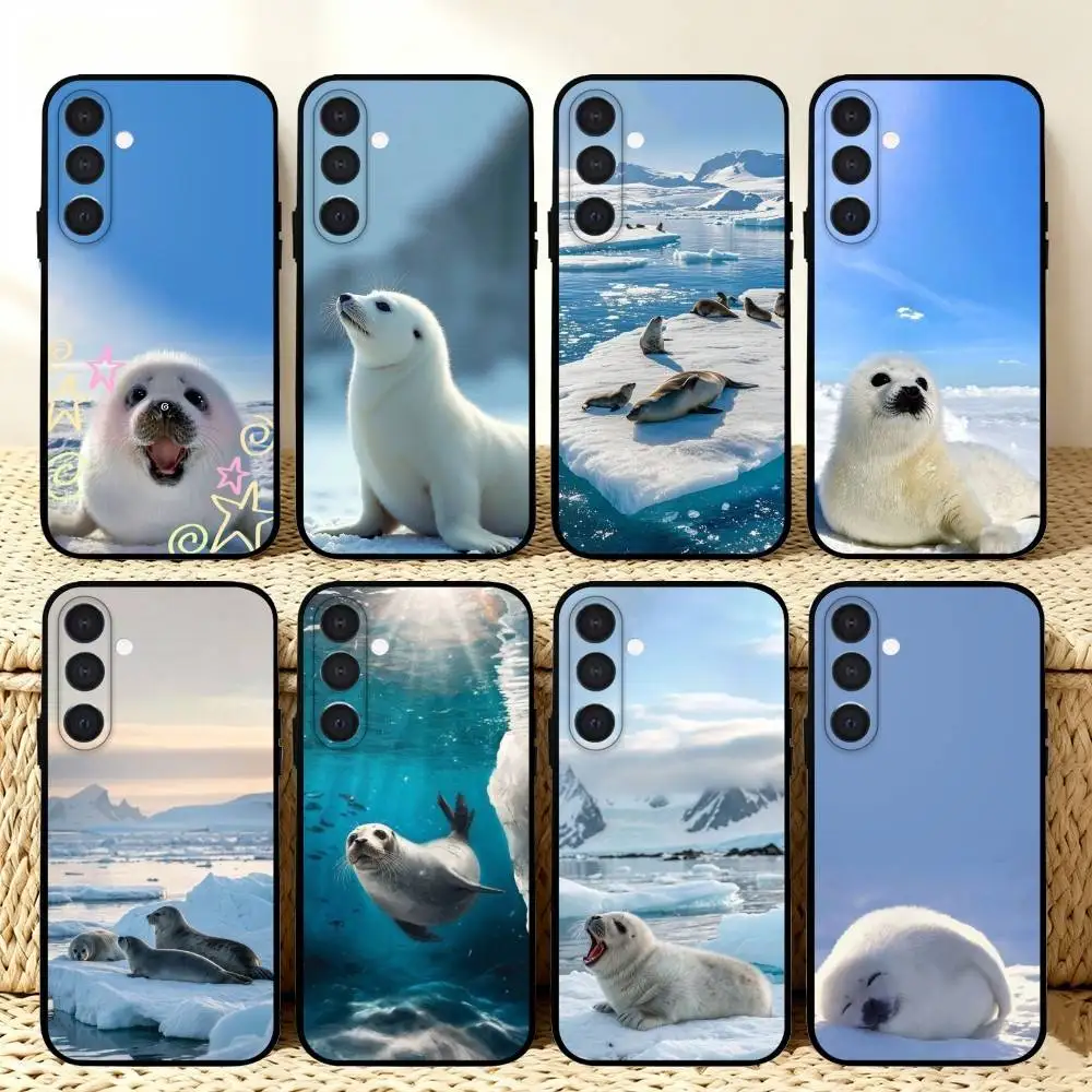 C-Cute F-Fluffy Sea…