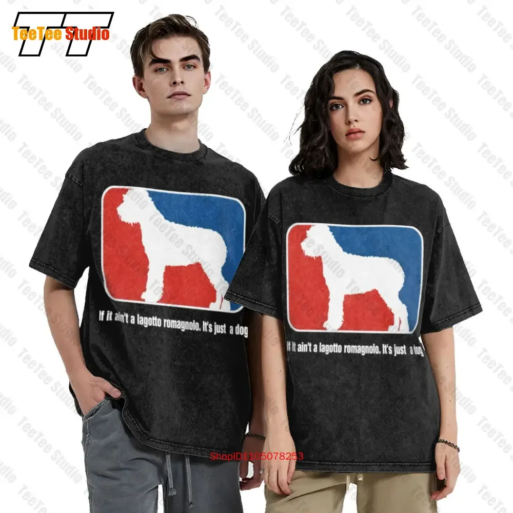 If It Aint A Lagotto Romagnolo Its Just A Dog Vintage Oversized T-Shirt 7N2C