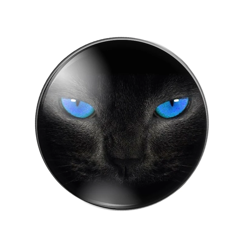 Hot sale 10pcs12/14/16/18/20/22/25/30mm Cat Eyes and Black Cat Handmade Photo Glass Drop Style Cabochons Jewelry Accessories