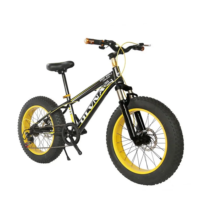 

Wide Wheel Student Bicycle with Variable Speed Disc Brake - Ideal for Learning And Practice