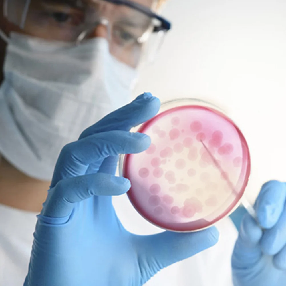 

Pre-Poured Nutrient Agar Petri Dishes Ready-to-Use High Efficiency Cultivation Accurate Identification Versatile Applications