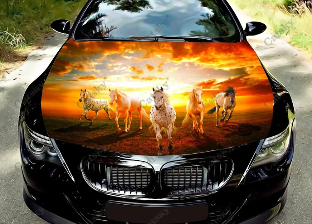 

Sunset Galloping Horses Car Hood Wrap Decor Decal Vinyl Sticker Full Color Graphic Car Sticker Custom Size and Image Fit Any Car
