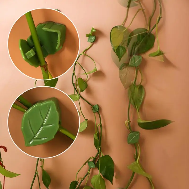 Plant Wall Clips Vine Clips For Climbing Plants Indoor 30X Adhesive Leaves Fixer Invisible Hooks Gardening Supplies Fixtures For